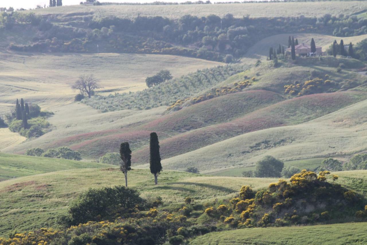 Agriturismo Cantagalli San Quirico d'Orcia Ngoại thất bức ảnh