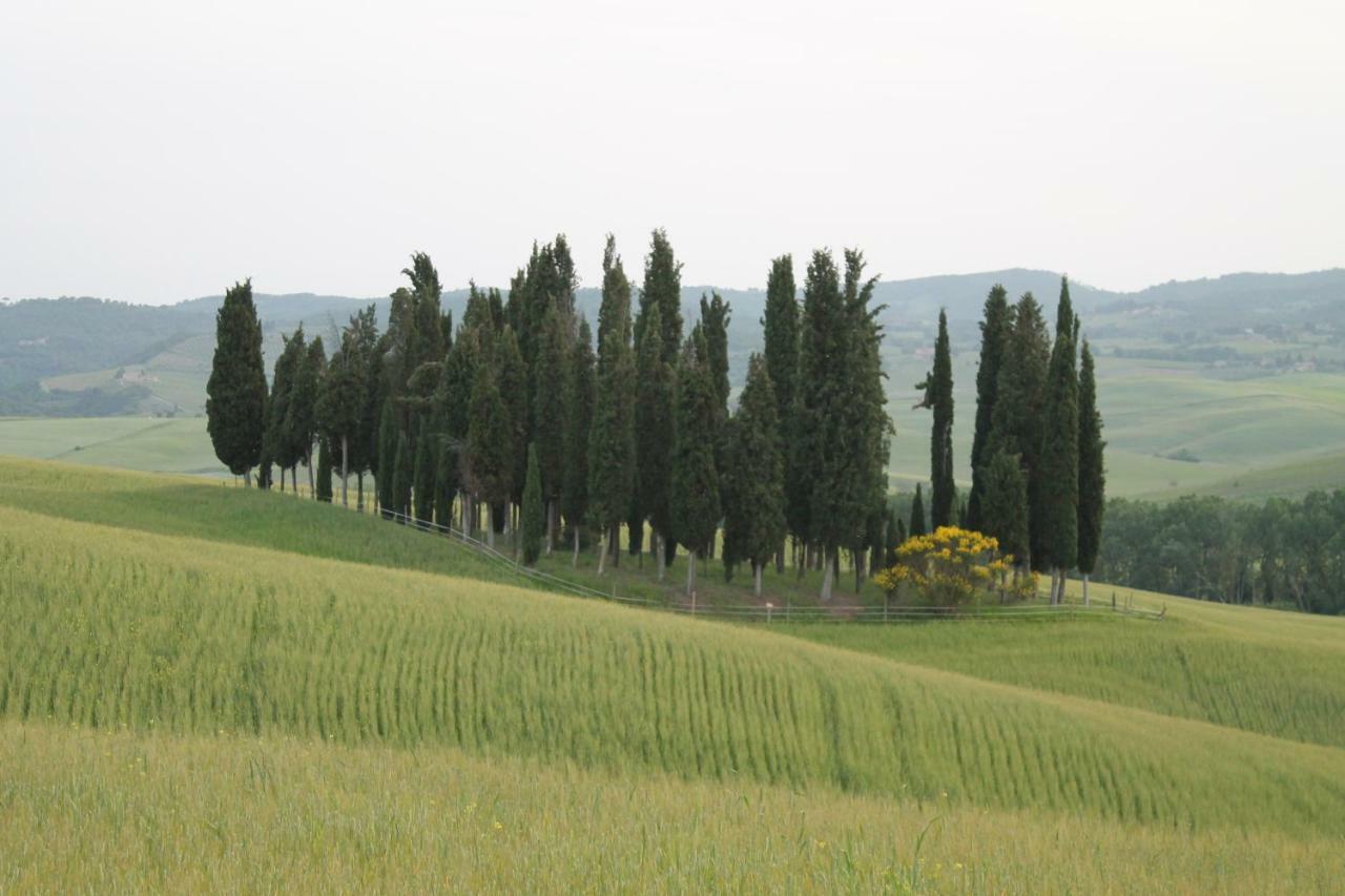 Agriturismo Cantagalli San Quirico d'Orcia Ngoại thất bức ảnh