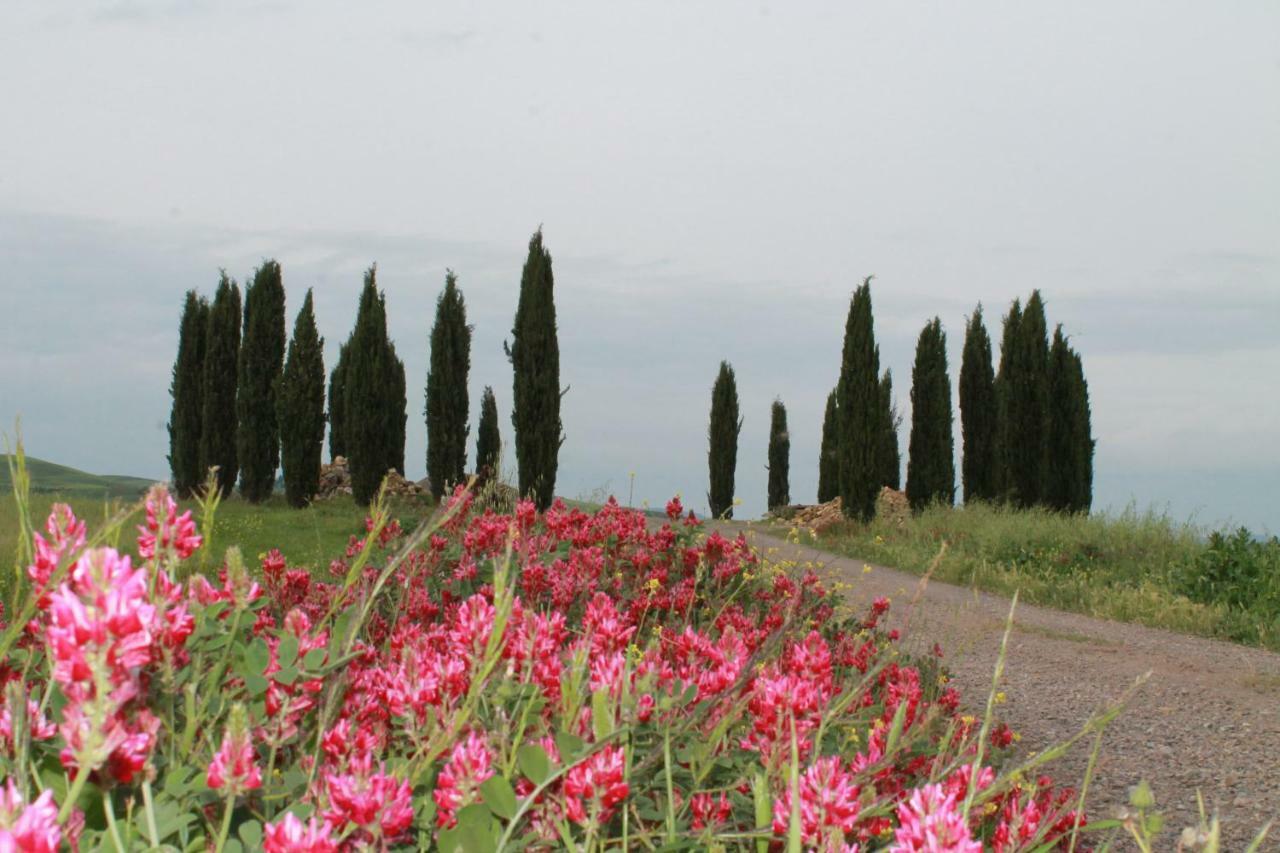 Agriturismo Cantagalli San Quirico d'Orcia Ngoại thất bức ảnh